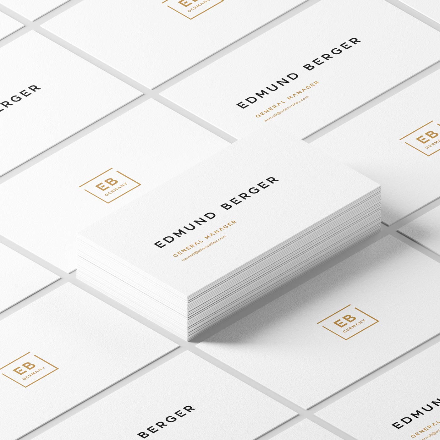 Business Cards (Standard)