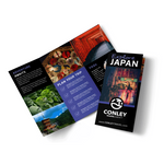 Travel Brochure